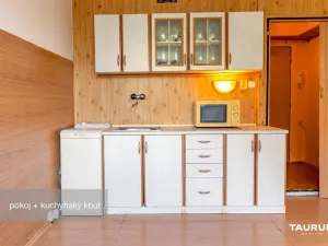 Prodej bytu 1+kk, Plzeň - Doudlevce, Luďka Pika, 20 m2