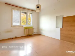 Prodej bytu 1+kk, Plzeň - Doudlevce, Luďka Pika, 20 m2