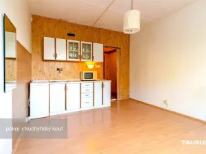 Prodej bytu 1+kk, Plzeň - Doudlevce, Luďka Pika, 20 m2