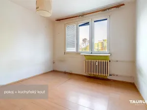 Prodej bytu 1+kk, Plzeň - Doudlevce, Luďka Pika, 20 m2