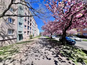 Prodej bytu 2+1, Zdeňka Fibicha 2578/8, 43401 Most, 57 m2