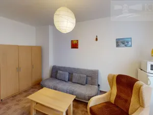 Pronájem bytu 1+kk, Příbram, S. K. Neumanna, 21 m2