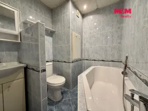 Prodej bytu 1+1, Louny, Kosmonautů, 36 m2