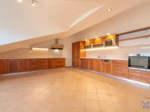 Pronájem bytu 5+kk, Praha - Vinohrady, U Havlíčkových sadů, 295 m2