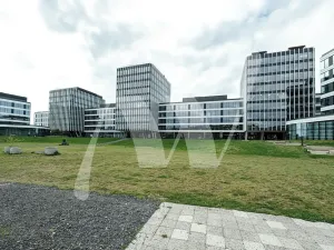 Pronájem kanceláře, Praha - Holešovice, Pod dráhou, 700 m2