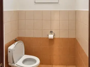 Prodej bytu 1+kk, Planá, Hřbitovní, 30 m2
