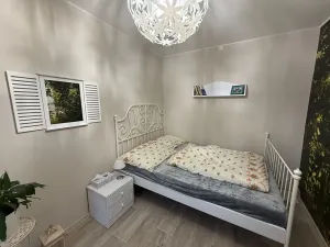 Prodej zemědělské usedlosti, Františkovy Lázně, 200 m2