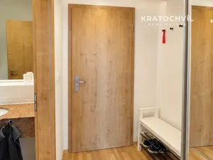 Pronájem bytu 1+kk, Praha - Smíchov, Radlická, 24 m2