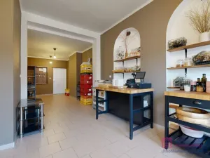 Prodej rodinného domu, Mikulčice - Těšice, 280 m2