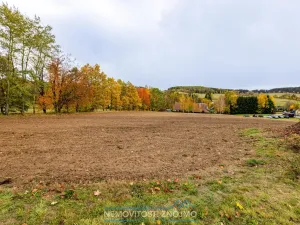 Prodej komerčního pozemku, Nová Bystřice - Albeř, 4525 m2