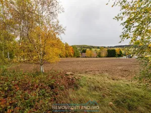 Prodej komerčního pozemku, Nová Bystřice - Albeř, 4525 m2