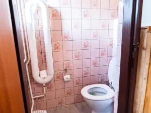 Prodej vícegeneračního domu, Žatec, Osvoboditelů, 384 m2