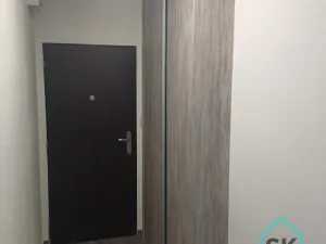 Pronájem bytu 1+1, Holčovice, 42 m2