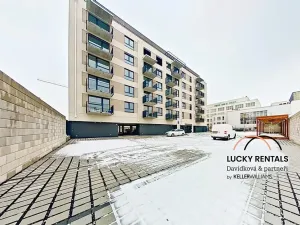 Pronájem bytu 1+kk, Kralupy nad Vltavou, Nádražní, 24 m2