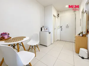 Pronájem bytu 1+kk, Praha - Vinohrady, Vinohradská, 38 m2
