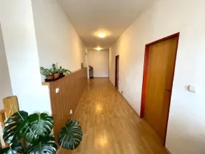 Pronájem rodinného domu, Cheb, Evropská, 450 m2