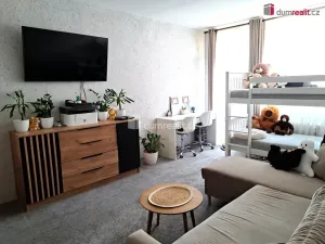 Prodej bytu 2+kk, Ústí nad Labem - Ústí nad Labem-centrum, Stará, 44 m2