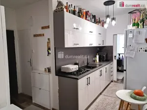 Prodej bytu 2+kk, Ústí nad Labem - Ústí nad Labem-centrum, Stará, 44 m2