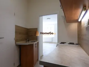 Pronájem bytu 1+kk, Praha - Nusle, Žateckých, 31 m2