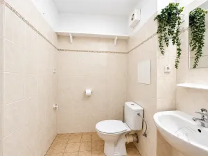 Pronájem bytu 1+1, Luštěnice - Zelená, 33 m2