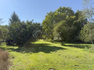 Prodej rodinného domu, Olešnice, 80 m2