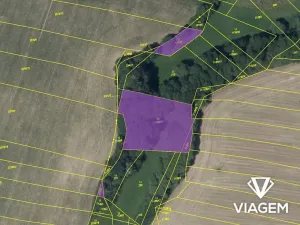Prodej podílu pole, Golčův Jeníkov, 921 m2