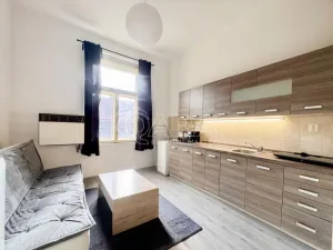 Pronájem bytu 1+kk, Praha - Smíchov, Lidická, 24 m2