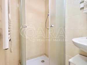 Pronájem bytu 1+kk, Praha - Smíchov, Lidická, 24 m2