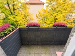 Prodej bytu 2+1, Kolín - Kolín IV, Sladkovského, 64 m2