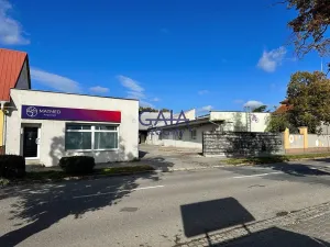 Pronájem kanceláře, Hodonín, Štefánikova, 52 m2
