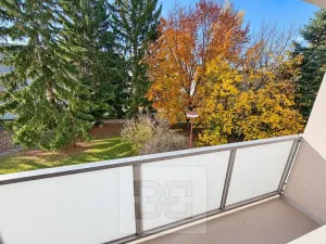 Pronájem bytu 3+1, Žďár nad Sázavou, Haškova, 77 m2