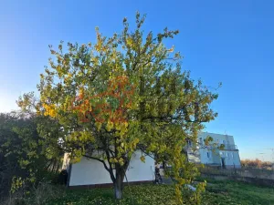 Prodej pozemku pro bydlení, Vestec, Vídeňská, 900 m2