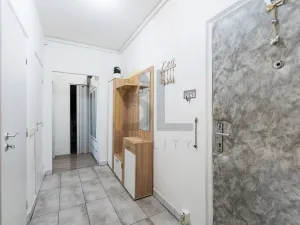 Prodej bytu 2+1, Hodonín, Družstevní čtvrť, 55 m2
