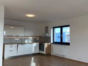 Pronájem bytu 3+kk, Vyškov, Hybešova, 101 m2