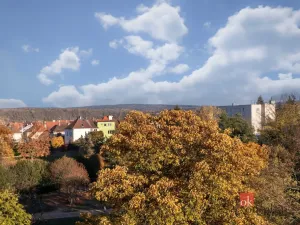 Prodej bytu 1+kk, Plzeň - Východní Předměstí, náměstí Generála Píky, 21 m2