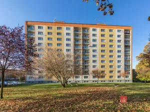 Prodej bytu 1+kk, Plzeň - Východní Předměstí, náměstí Generála Píky, 21 m2