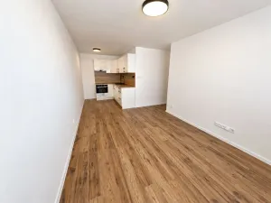 Prodej bytu 2+kk, Most, Lipová, 40 m2