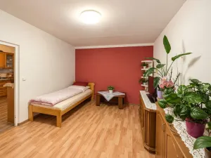 Pronájem bytu 1+1, Duchcov, Osecká, 35 m2