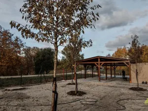 Pronájem komerční nemovitosti, Břeclav - Charvátská Nová Ves, 705 m2
