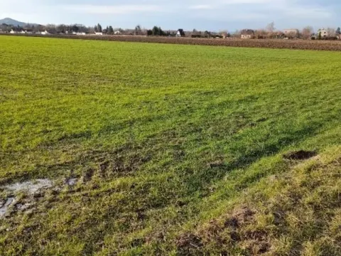 Pronájem zahrady, Kopřivnice, 700 m2