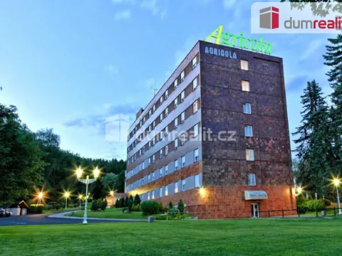 Prodej ubytování, Mariánské Lázně, Tyršova, 12205 m2