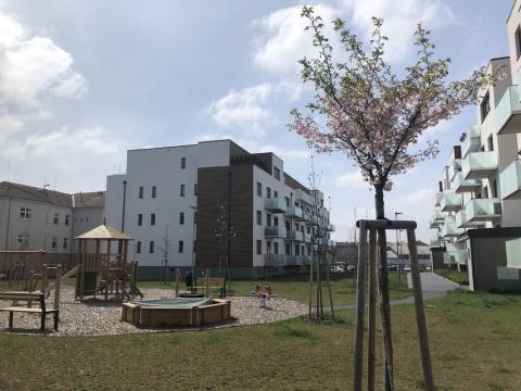 Prodej bytu 3+kk, Olomouc - Nová Ulice, Třída Jiřího Pelikána, 83 m2