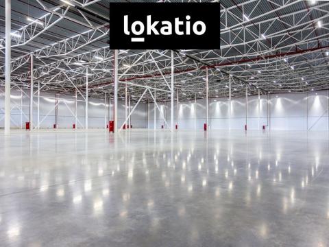 Pronájem skladu, České Budějovice, 8900 m2