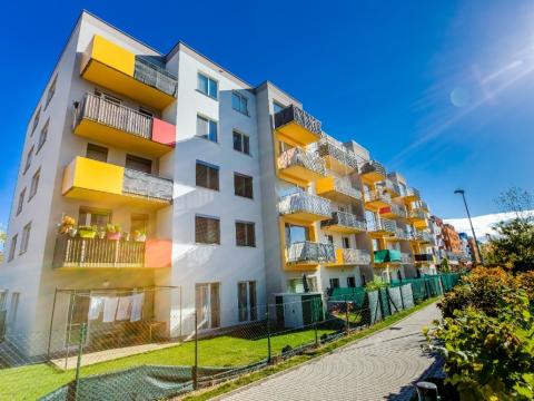 Pronájem bytu 1+kk, České Budějovice - České Budějovice 2, Husova tř., 38 m2