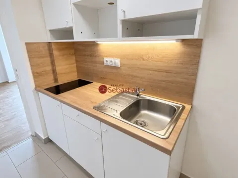 Pronájem bytu 1+1, Teplice - Trnovany, Antonína Sochora, 41 m2