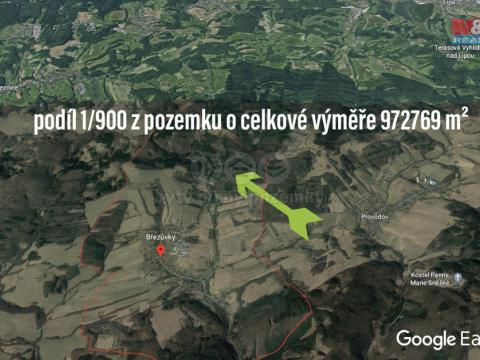 Prodej lesa, Březůvky, 1081 m2