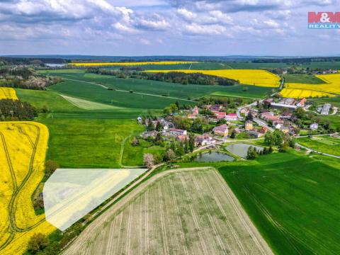 Prodej zemědělské půdy, Ostrov u Bezdružic - Pláň, 6672 m2