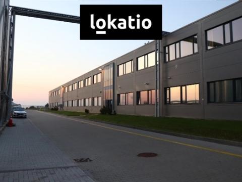 Pronájem skladu, Havraň, 15000 m2