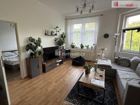 Pronájem bytu 2+1, Ústí nad Labem, Šaldova, 57 m2