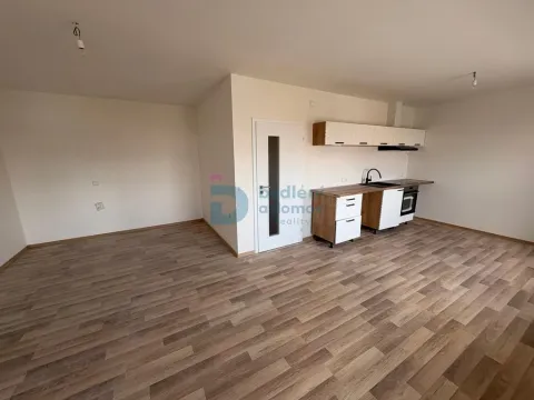 Prodej bytu 1+kk, Doloplazy, 41 m2